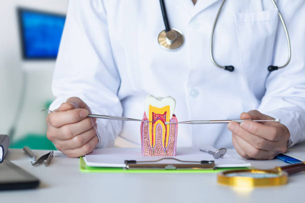 Best Emergency Dentist for Lost Fillings or Crowns in Jacksboro, TX